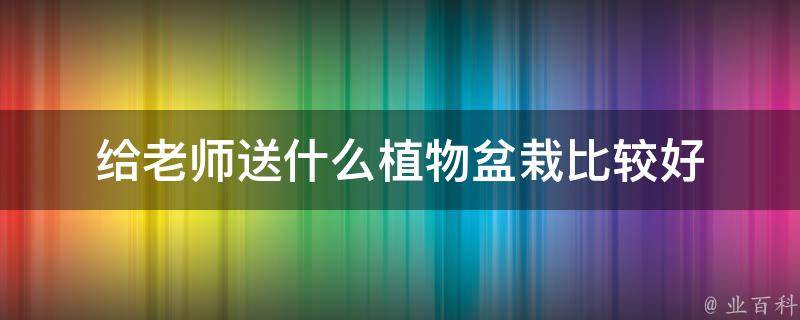 给老师送什么植物盆栽比较好 