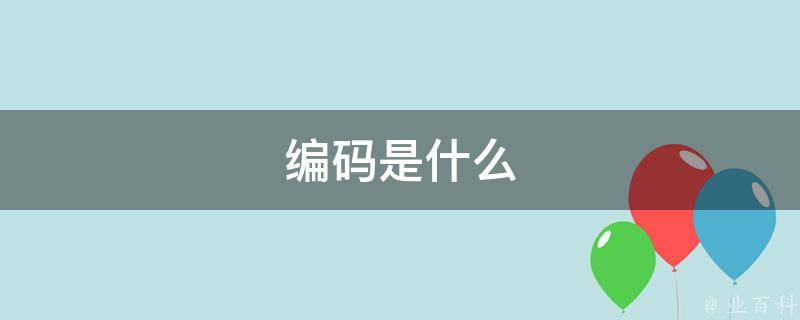 编码是什么 