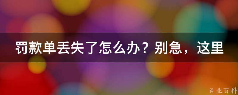 罚款单丢失了怎么办？别急，这里有一份详细的解决方案！