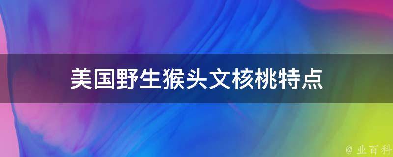 美国野生猴头文核桃特点 