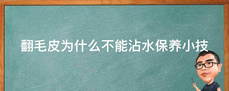 翻毛皮为什么不能沾水(保养小技巧，避免翻毛皮受损)