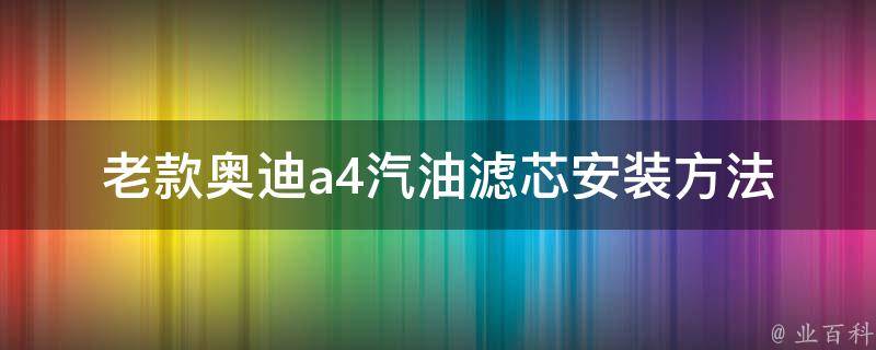 老款奥迪a4汽油滤芯安装方法(详细图文教程)