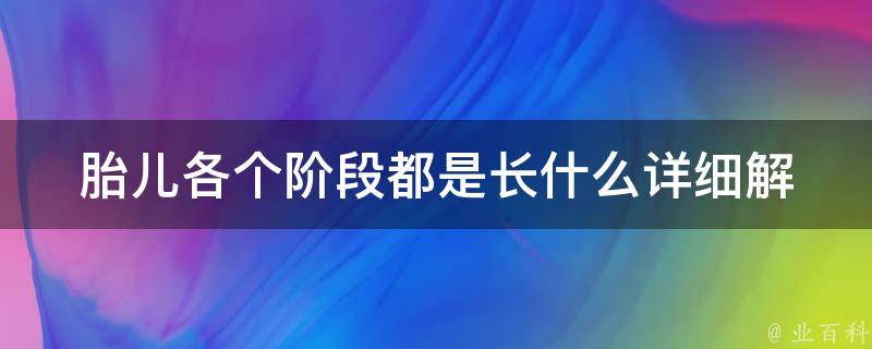 胎儿各个阶段都是长什么_详细解析胎儿发育过程及特点