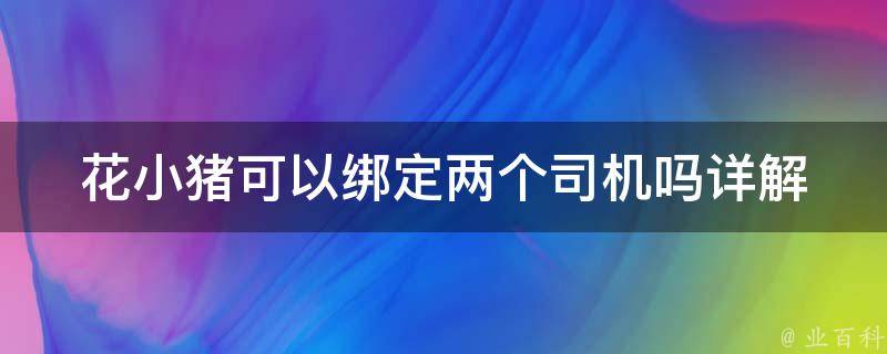 花小猪可以绑定两个司机吗_详解多人绑定操作步骤