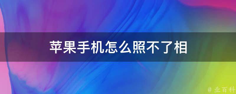 苹果手机怎么照不了相 