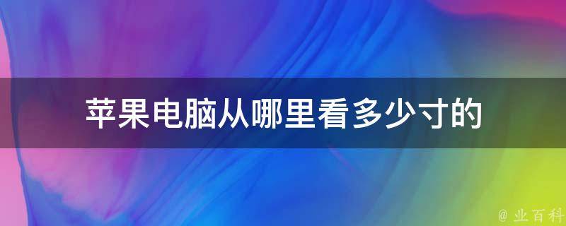 苹果电脑从哪里看多少寸的 