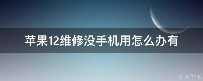 苹果12维修没手机用怎么办(有哪些备用方案可供选择)