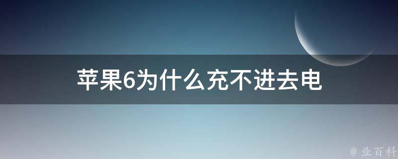 苹果6为什么充不进去电 