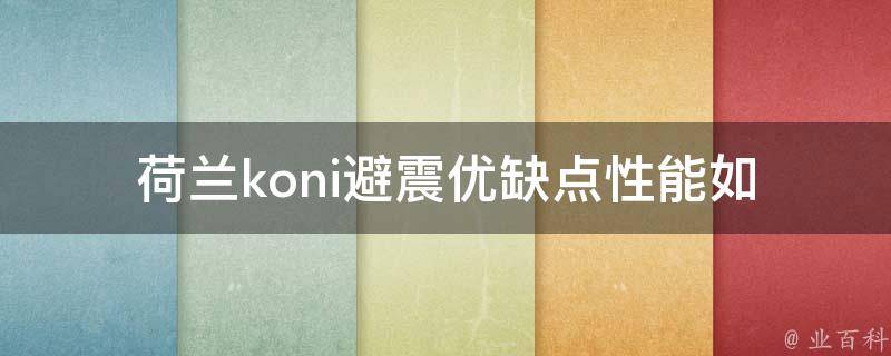 荷兰koni避震优缺点_性能如何、**比较、适用车型推荐