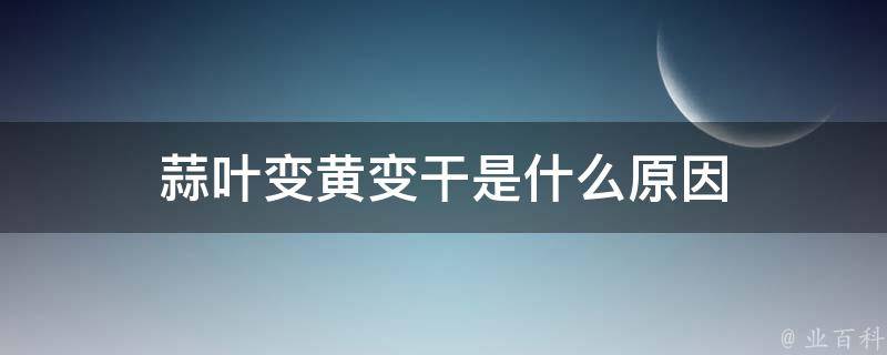 蒜叶变黄变干是什么原因 