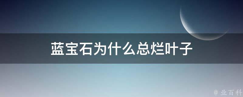 蓝宝石为什么总烂叶子 