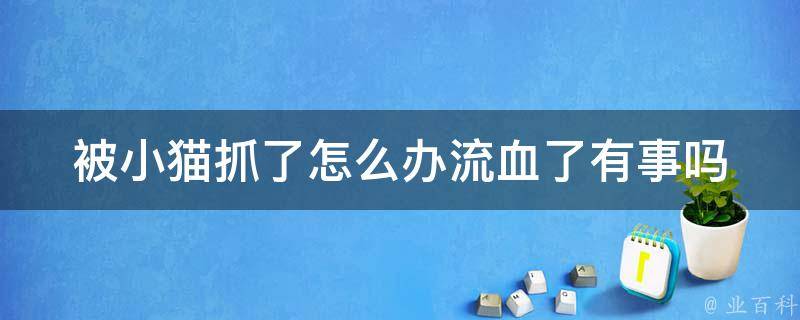 被小猫抓了怎么办流血了有事吗_应对猫咪抓伤的10种方法。