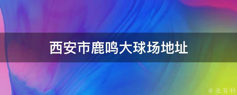 西安市鹿鸣大球场地址 