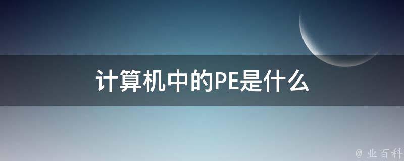 计算机中的PE是什么 