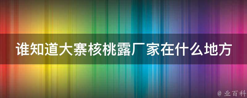 谁知道大寨核桃露厂家在什么地方 