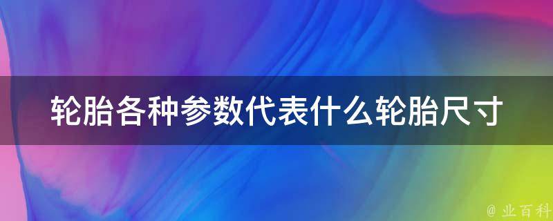 轮胎各种参数代表什么(轮胎尺寸、胎压等详细解析)