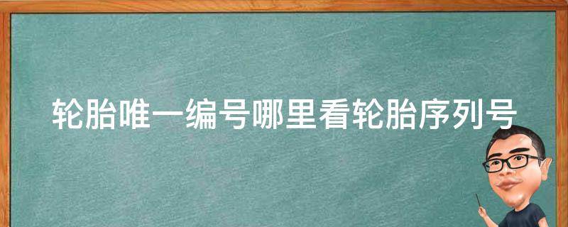 轮胎唯一编号哪里看(轮胎序列号查询方法)