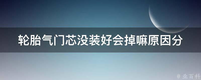 轮胎气门芯没装好会掉嘛_原因分析及解决方法