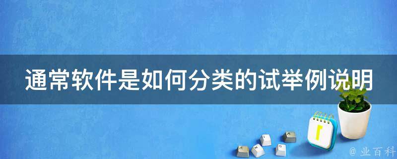 通常软件是如何分类的试举例说明 