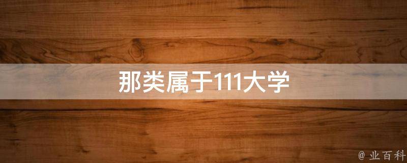 那类属于111大学 