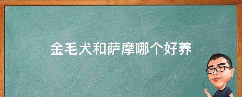 金毛犬和萨摩哪个好养 