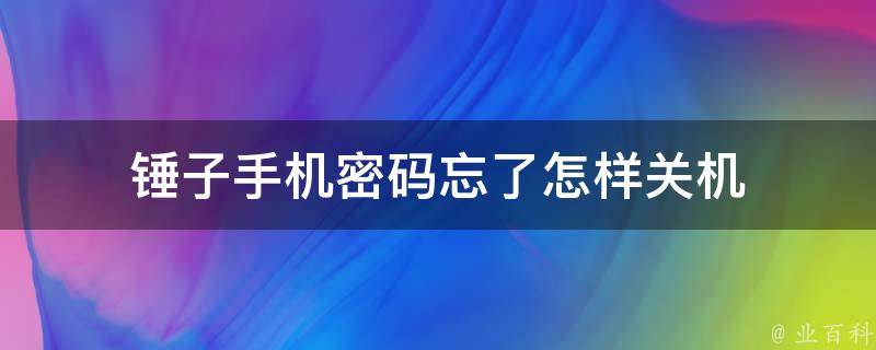 锤子手机密码忘了怎样关机 