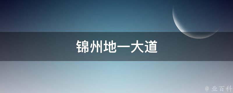 锦州地一大道 