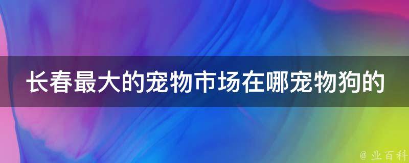 长春最大的宠物市场在哪宠物狗的 