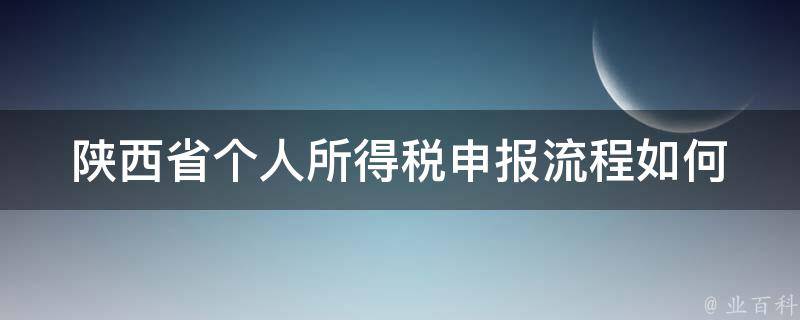 陕西省个人所得税申报流程(如何办理个人所得税申报)