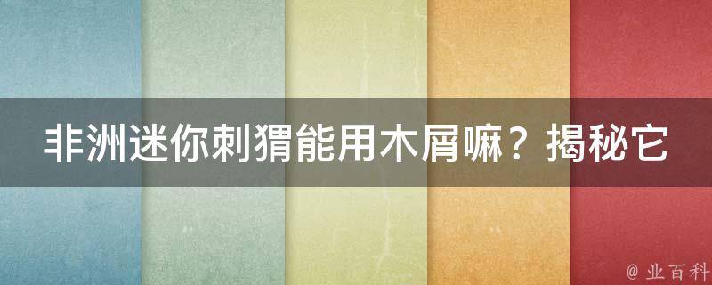 非洲迷你刺猬能用木屑嘛？揭秘它们的生活习性