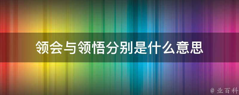 领会与领悟分别是什么意思 