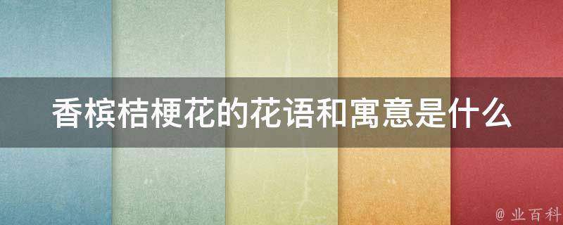 香槟桔梗花的花语和寓意是什么_解读花语和寓意，送花不再尴尬