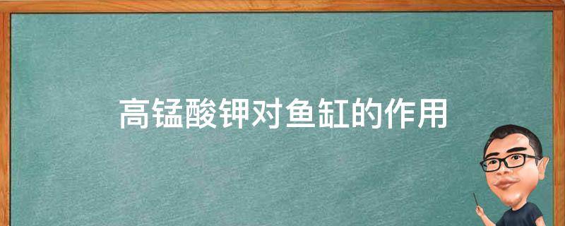 高锰酸钾对鱼缸的作用 