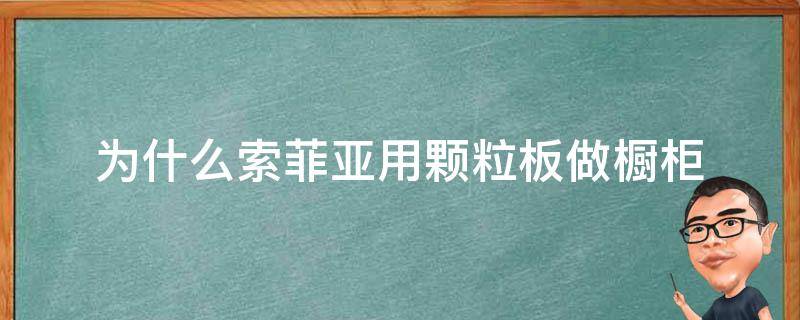 為什麼索菲亞用顆粒板做櫥櫃