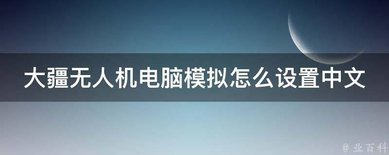 大疆无人机电脑模拟怎么设置中文