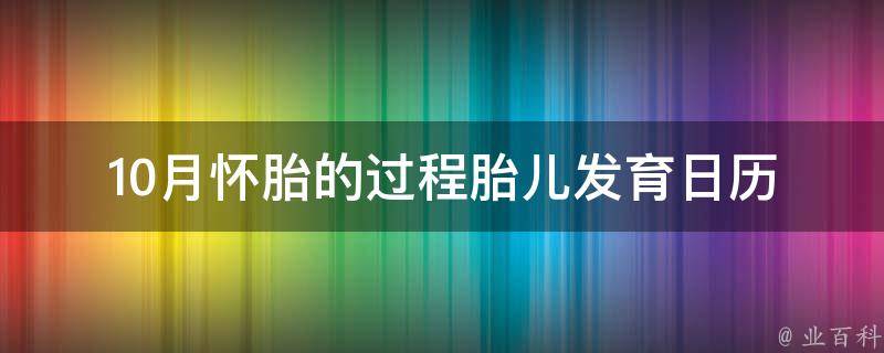 10月怀胎的过程_胎儿发育日历、孕妇注意事项、孕期饮食指南