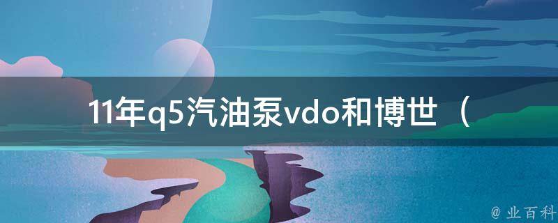 11年q5汽油泵vdo和博世_哪个更好用？**、耗油量、性能对比