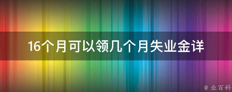 16个月可以领几个月失业金_详解**规定和注意事项