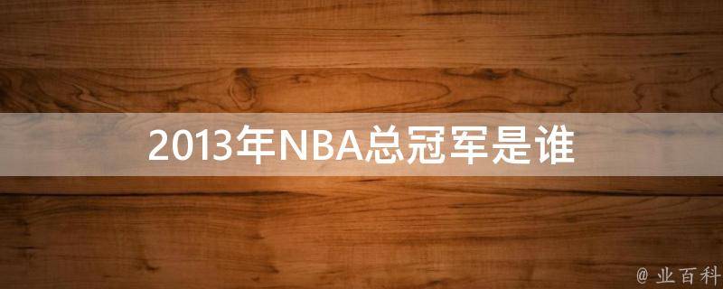 2013年NBA总冠军是谁 