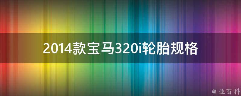 2014款宝马320i轮胎规格(原厂标配及适合升级的品牌推荐)