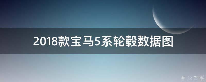 2018款宝马5系轮毂数据图(尺寸、材质、颜色、**等详解)