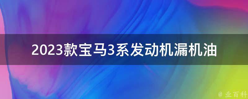 2023款宝马3系发动机漏机油怎么回事_原因分析及解决方法