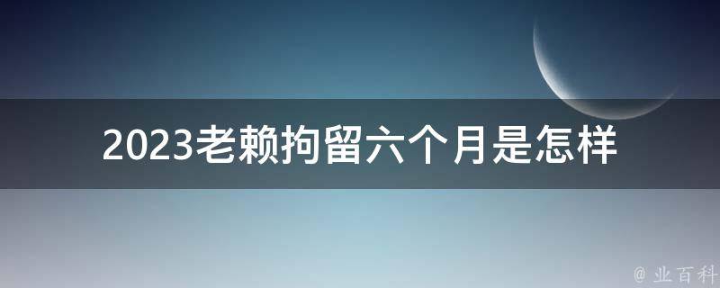 2023老赖拘留六个月_是怎样被抓捕的？