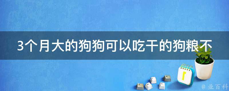 3个月大的狗狗可以吃干的狗粮不 