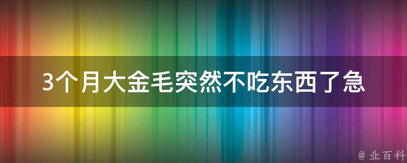 3个月大金毛突然不吃东西了急 