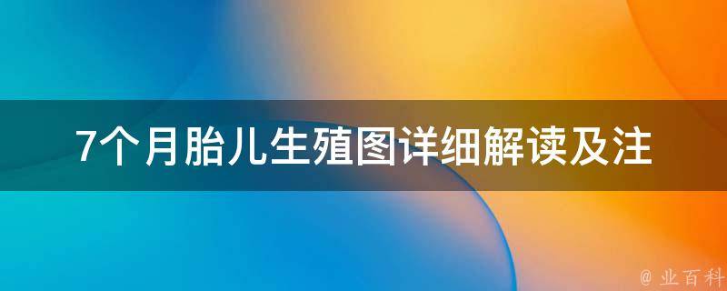 7个月胎儿生殖图(详细解读及注意事项)。