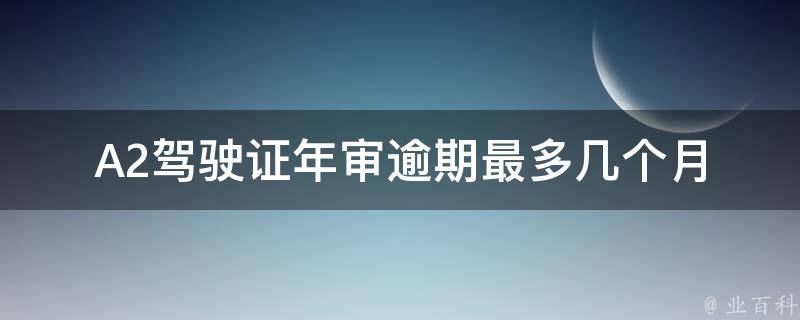 A2***年审逾期最多几个月(会被罚款吗？)