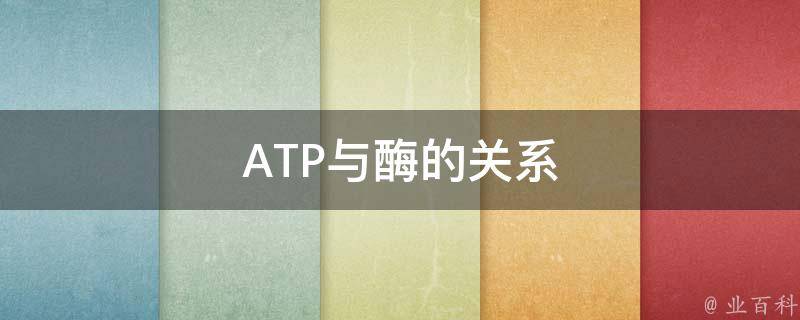 ATP与酶的关系 