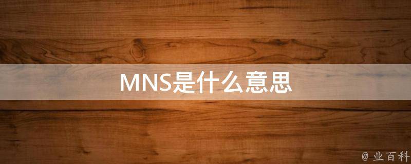 MNS是什么意思 