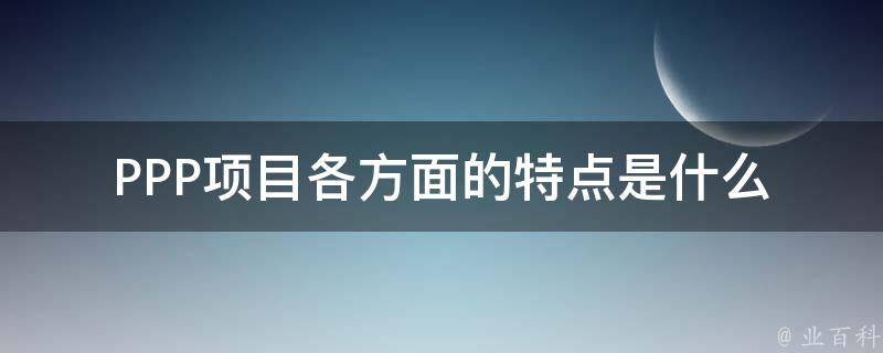 PPP项目各方面的特点是什么 